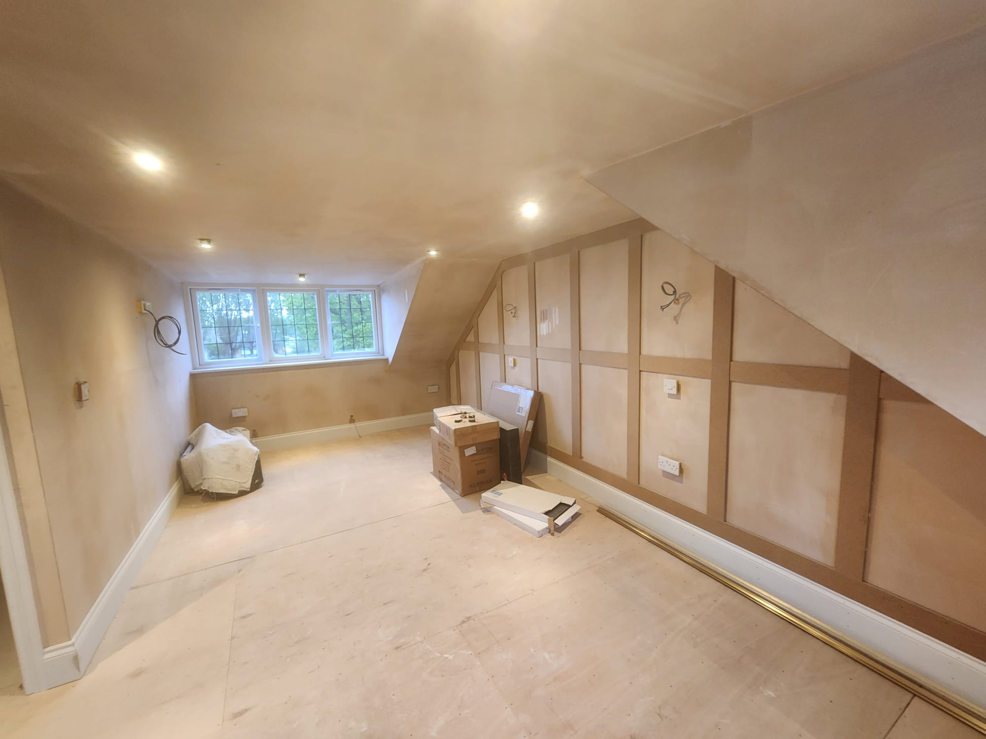 Large intricate Paramount Plastering renovation project photo 12